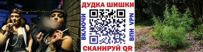 МАРИХУАНА сатива Назрань